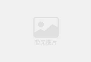 味极鲜味素